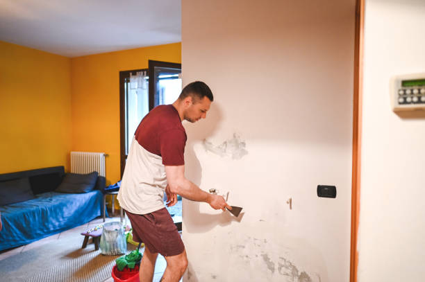 Best Mold Removal Specialists  in Princess Anne, MD